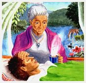 Healing Wise the Wise Woman Way Herbal Medicine with Susun Weed